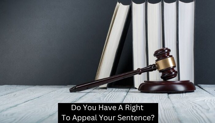 Do You Have A Right To Appeal Your Sentence?