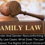 Transgender And Gender-Nonconforming Children In Family Law Cases: What Does The Law Tell Us About The Rights Of Such Children?