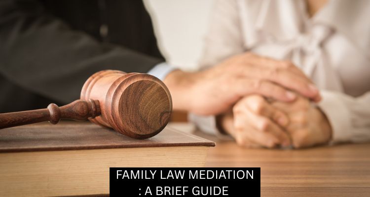 FAMILY LAW MEDIATION: A BRIEF GUIDE