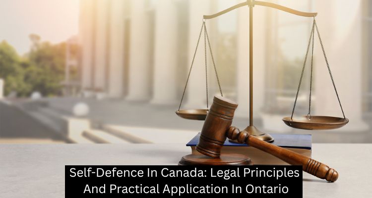 Self-Defence In Canada: Legal Principles And Practical Application In Ontario - A Mehdi Law